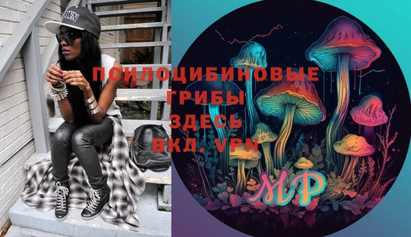 амф Алексин