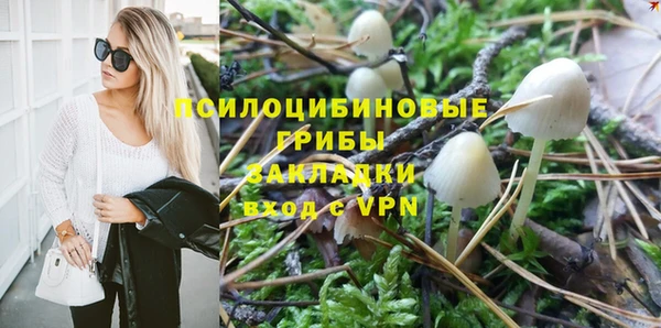 тгк Абдулино