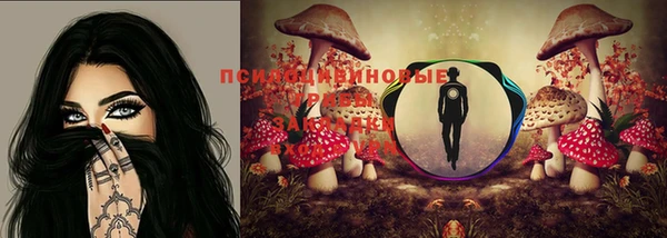 тгк Абдулино