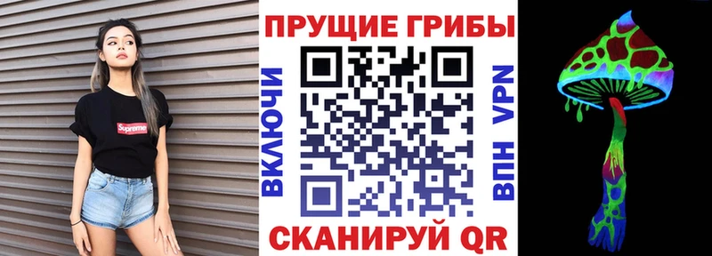Галлюциногенные грибы Psilocybe  где купить наркоту  KRAKEN ССЫЛКА  Каменск-Шахтинский 