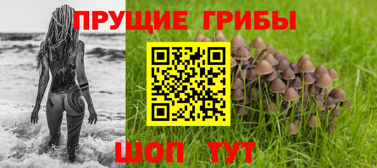 Галлюциногенные грибы ЛСД Каменск-Шахтинский