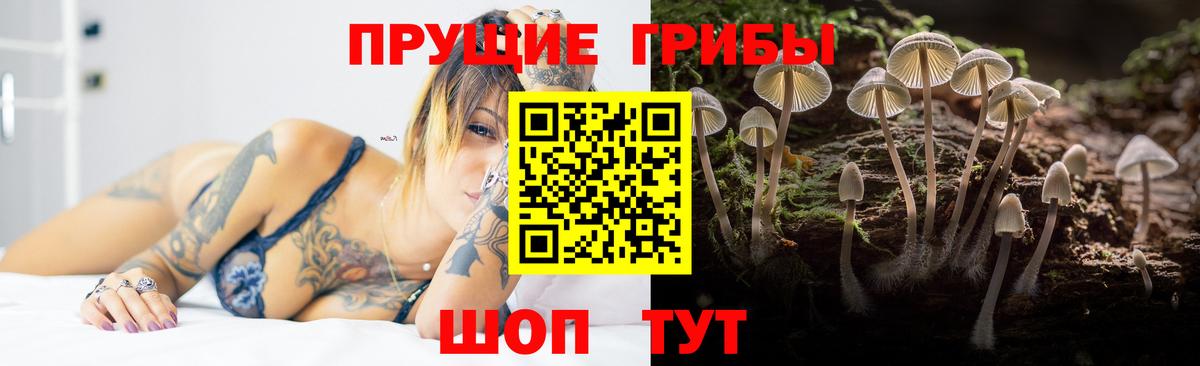 Псилоцибиновые грибы MAGIC MUSHROOMS  Вход с VPN  Каменск-Шахтинский 